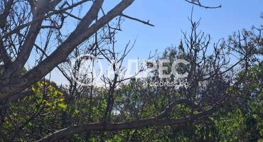 Парцел/Терен, Варна, м-ст Свети Никола, 678742, Снимка 2