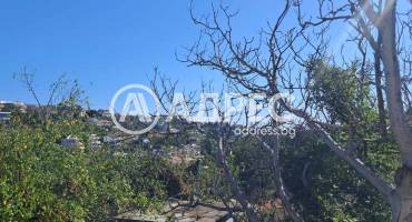 Парцел/Терен, Варна, м-ст Свети Никола, 678742, Снимка 4