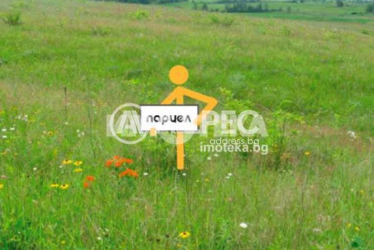 Парцел/Терен, Рогачево, 657743, Снимка 1