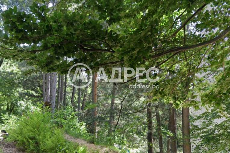 Парцел/Терен, Владая, 660744, Снимка 3