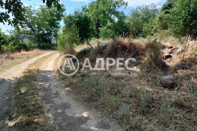 Парцел/Терен, Българчево, 659755, Снимка 5