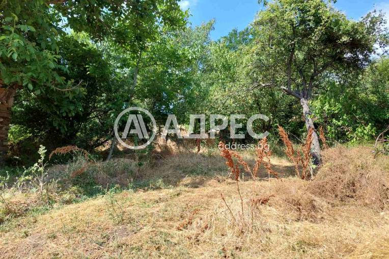 Парцел/Терен, Българчево, 659755, Снимка 6