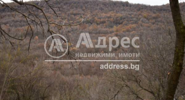 Парцел/Терен, Малки чифлик, 601756, Снимка 3