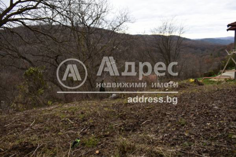 Парцел/Терен, Малки чифлик, 601756, Снимка 2