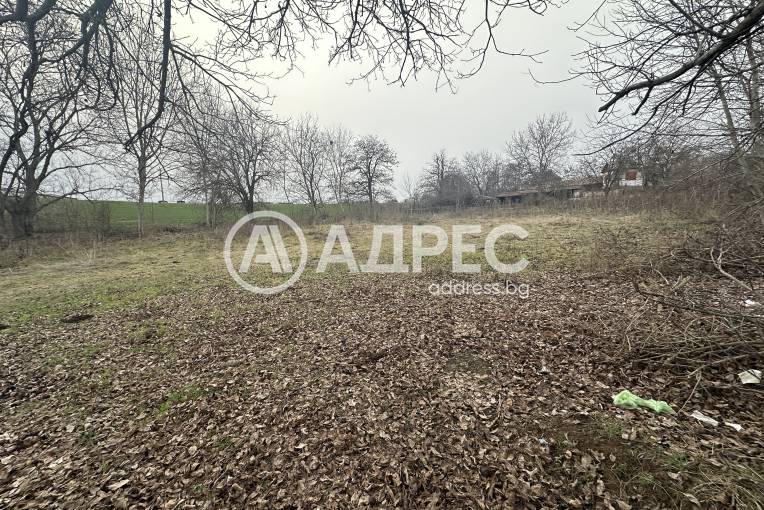 Парцел/Терен, Илия Блъсково, 642758, Снимка 1