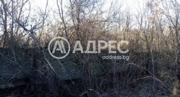 Парцел/Терен, Шемшево, 662766, Снимка 5