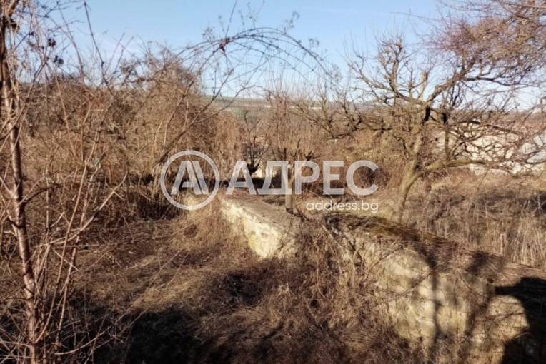 Парцел/Терен, Шемшево, 662766, Снимка 3