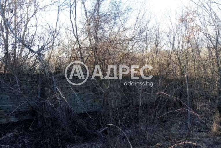 Парцел/Терен, Шемшево, 662766, Снимка 5