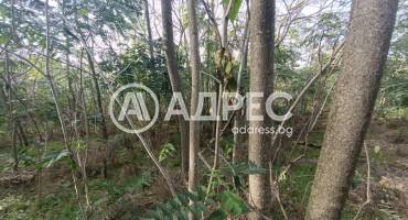 Парцел/Терен, Сърнино, 674769, Снимка 3
