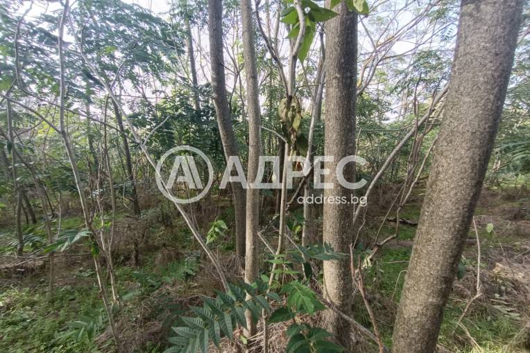 Парцел/Терен, Сърнино, 674769, Снимка 3