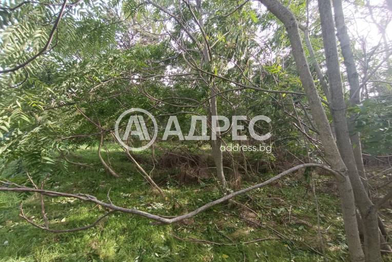 Парцел/Терен, Сърнино, 674769, Снимка 4