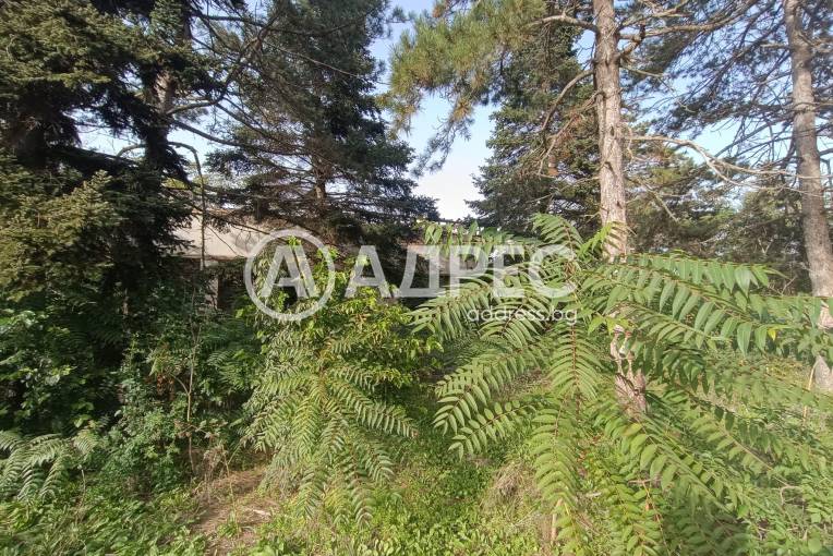 Парцел/Терен, Сърнино, 674769, Снимка 6