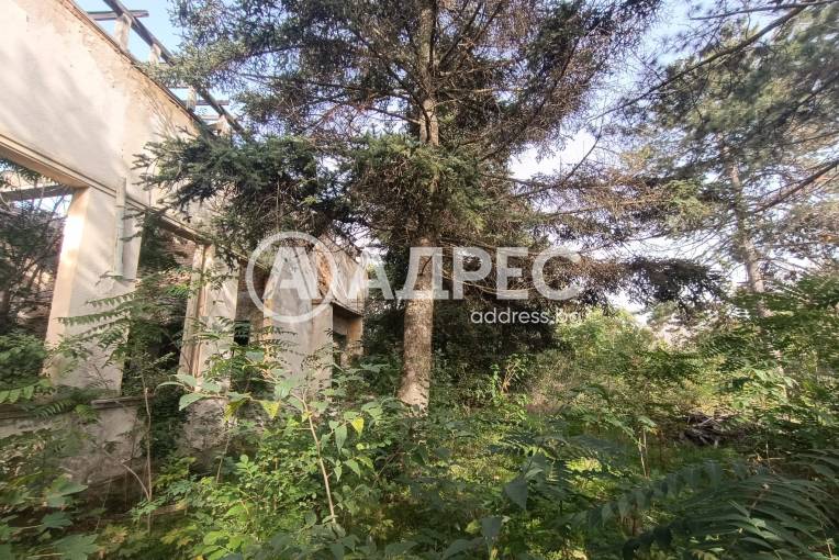 Парцел/Терен, Сърнино, 674769, Снимка 7