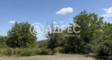 Къща/Вила, Мусина, 665771, Снимка 3