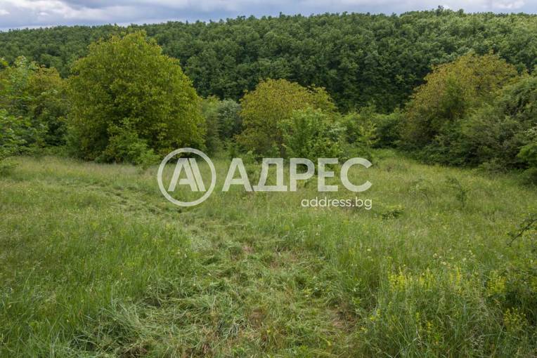 Парцел/Терен, Катранджии, 449774, Снимка 4