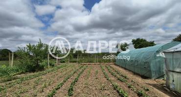 Къща/Вила, Ценово, 654776, Снимка 10