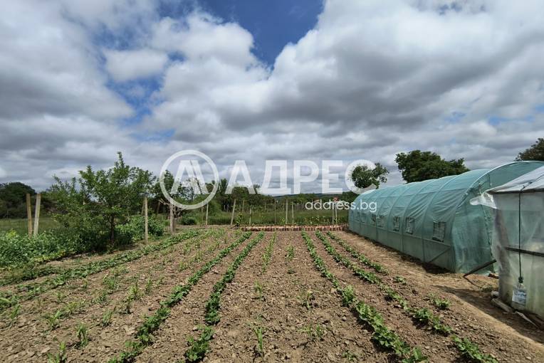 Къща/Вила, Ценово, 654776, Снимка 10