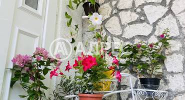 Къща/Вила, Варна, м-ст Свети Никола, 663784, Снимка 7