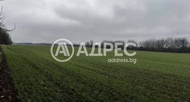 Парцел/Терен, Ясен, 684795, Снимка 2