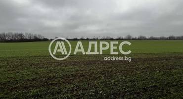 Парцел/Терен, Ясен, 684795, Снимка 3