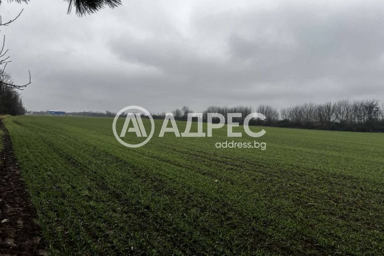 Парцел/Терен, Ясен, 684795, Снимка 2