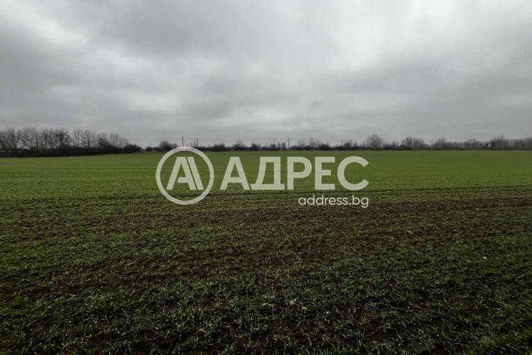 Парцел/Терен, Ясен, 684795, Снимка 3