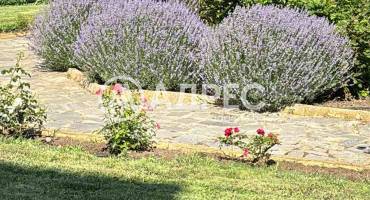 Едностаен апартамент, Топола, Калиакриа Гардънс, 675798, Снимка 8