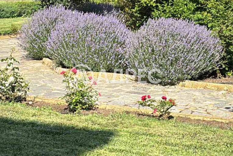 Едностаен апартамент, Топола, Калиакриа Гардънс, 675798, Снимка 8