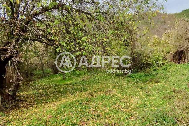 Къща/Вила, Терзийско, 675807, Снимка 14