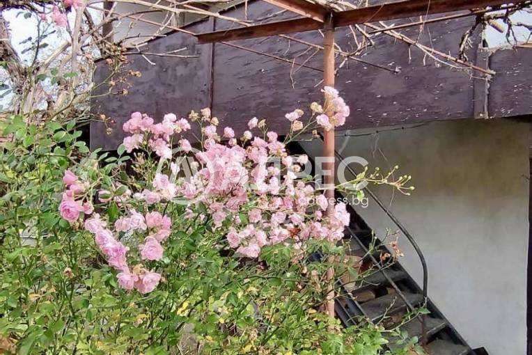 Къща/Вила, Терзийско, 675807, Снимка 3