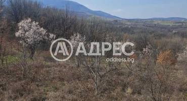 Парцел/Терен, Белащица, 685816, Снимка 4