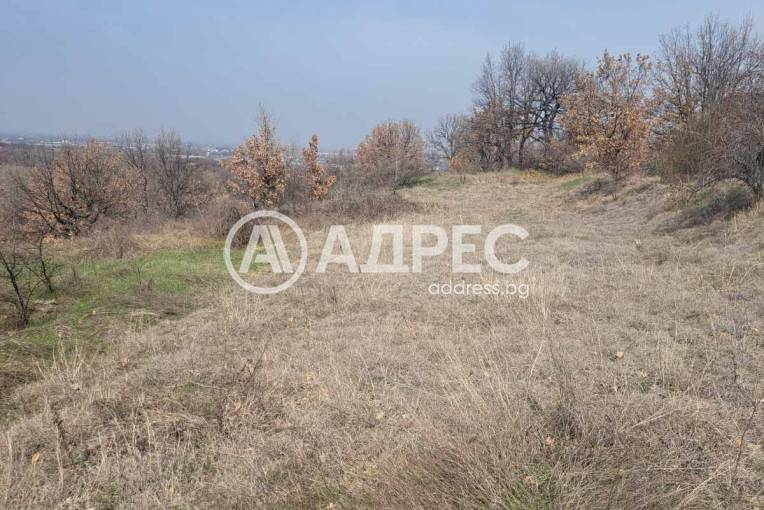 Парцел/Терен, Белащица, 685816, Снимка 2