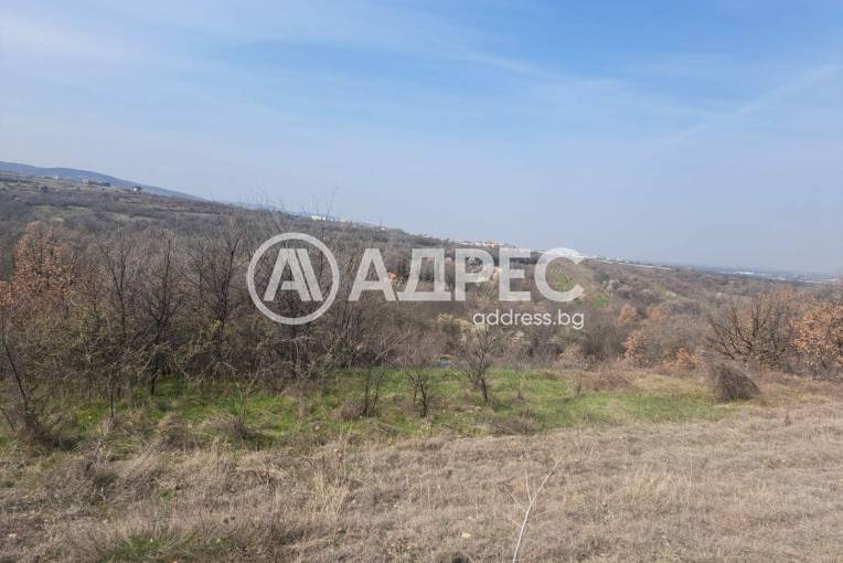 Парцел/Терен, Белащица, 685816, Снимка 3