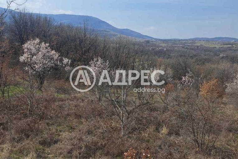 Парцел/Терен, Белащица, 685816, Снимка 4