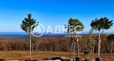 Къща/Вила, Приселци, 647825, Снимка 20