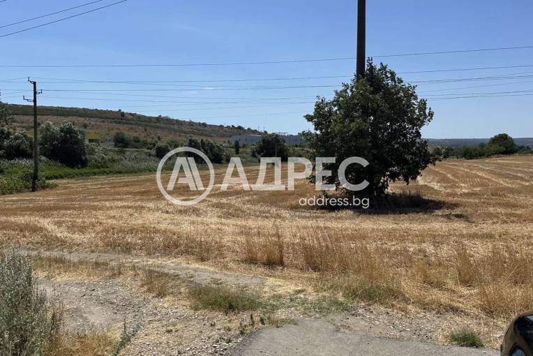 Земеделска земя, Игнатиево, 662828, Снимка 1