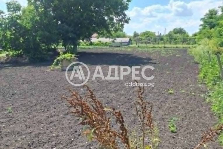 Парцел/Терен, Калчево, 700828, Снимка 2