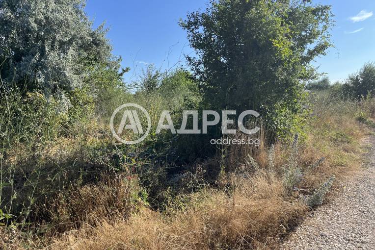 Парцел/Терен, Топола, 32, 661830, Снимка 5