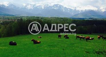 Парцел/Терен, Априлци, Ново село - Център, 684831, Снимка 1