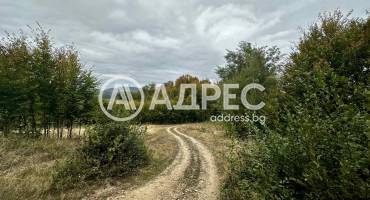 Земеделска земя, Троян, Лъгът, 670834, Снимка 1