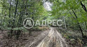 Земеделска земя, Троян, Лъгът, 670834, Снимка 4