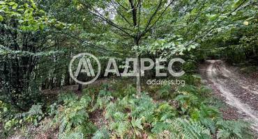 Земеделска земя, Троян, Лъгът, 670834, Снимка 5