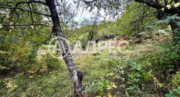 Земеделска земя, Троян, Лъгът, 670834, Снимка 6