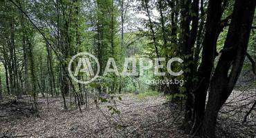 Земеделска земя, Троян, Лъгът, 670834, Снимка 7