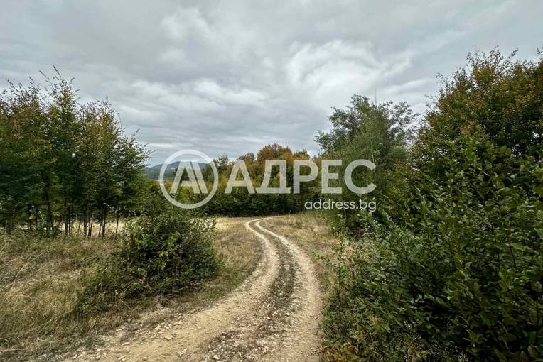 Земеделска земя, Троян, Лъгът, 670834, Снимка 1