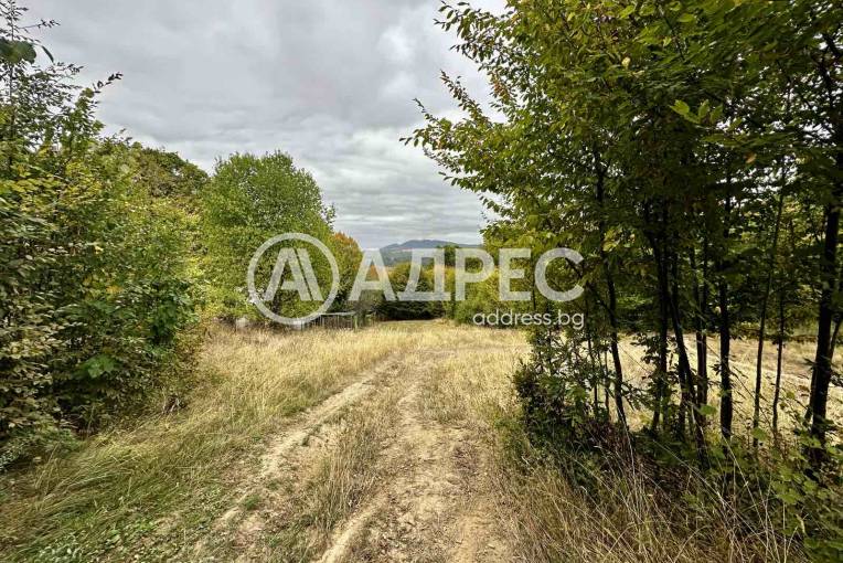 Земеделска земя, Троян, Лъгът, 670834, Снимка 2