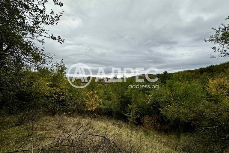 Земеделска земя, Троян, Лъгът, 670834, Снимка 3