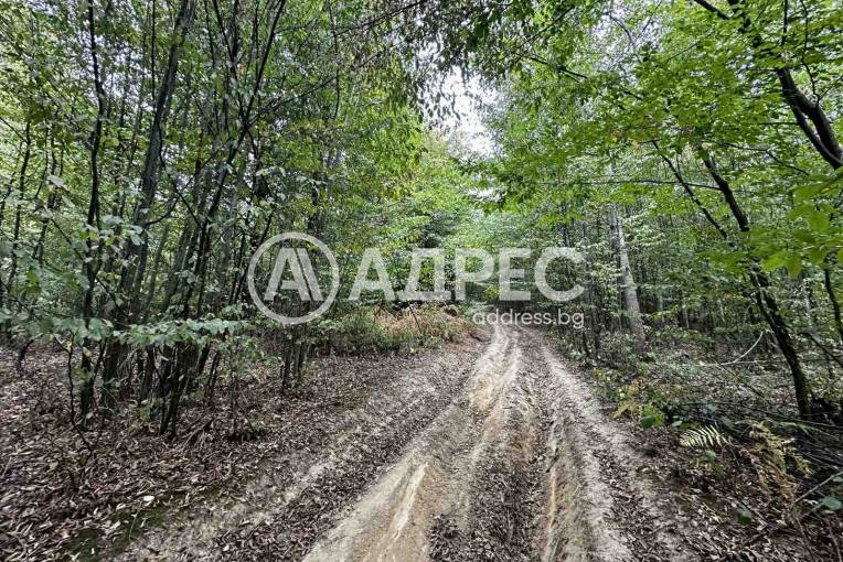 Земеделска земя, Троян, Лъгът, 670834, Снимка 4