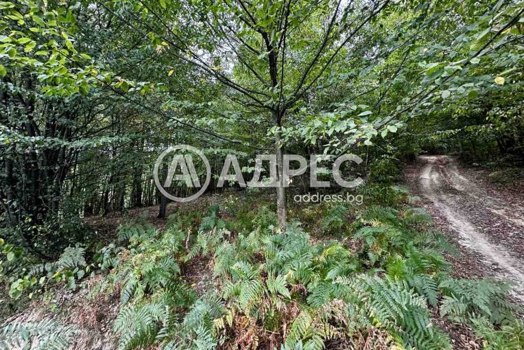 Земеделска земя, Троян, Лъгът, 670834, Снимка 5