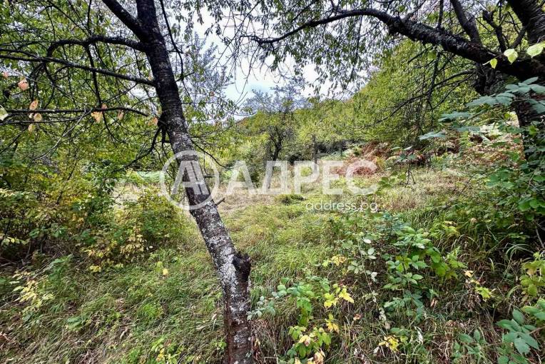 Земеделска земя, Троян, Лъгът, 670834, Снимка 6